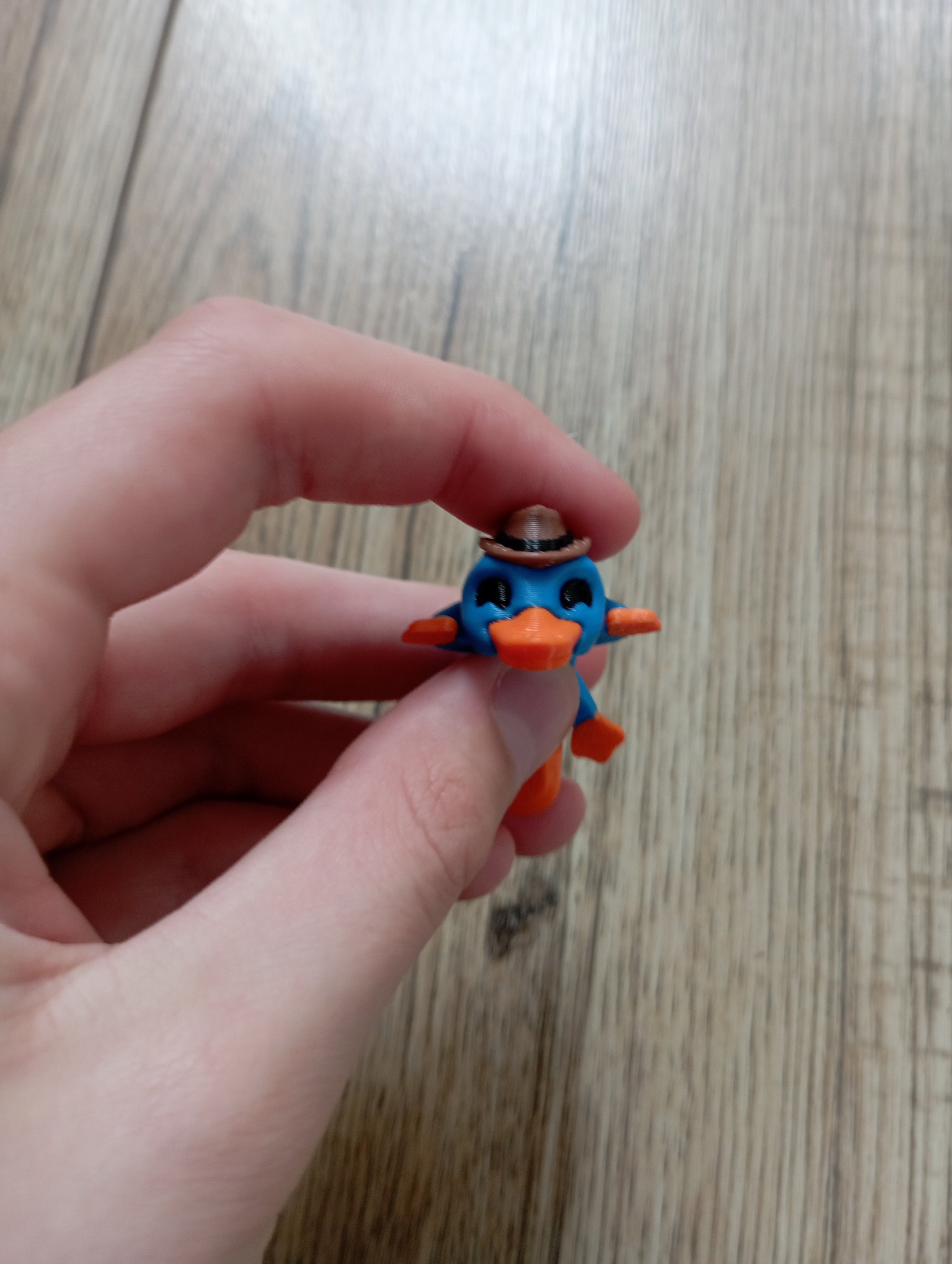 Mini pepe pan dziobak w czterech kolorach